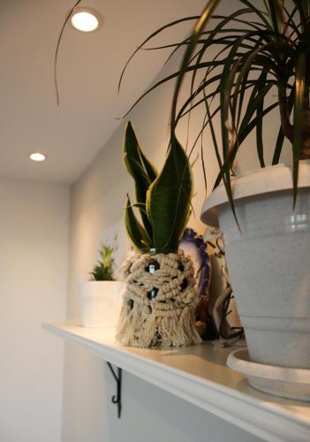 a shelf with two potted plants on it at Boho Home in Kalamata