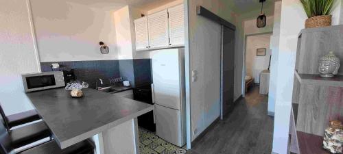 une cuisine avec un comptoir et un réfrigérateur dans l'établissement Face à la Mer, à Saint Cyprien Plage