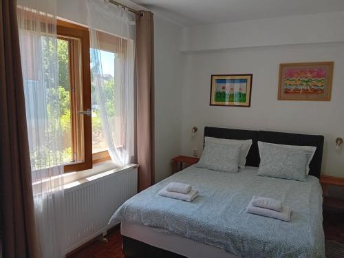 Postel nebo postele na pokoji v ubytování Zeravica Rooms B&B