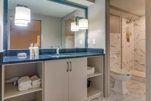 a bathroom with a sink and a toilet and a mirror at Charming Retreat for 2 Near Downtown & Broadway in Nashville