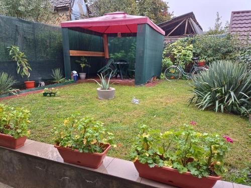 Zahrada ubytování Casa Sahar