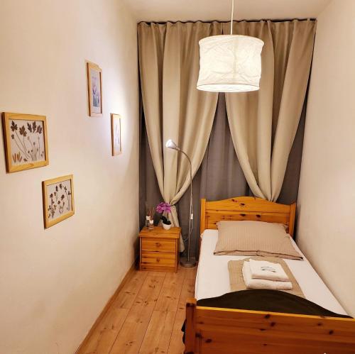 Ένα ή περισσότερα κρεβάτια σε δωμάτιο στο Schonach 2units, mountain-Top in forest, free parking, new kitchen, renovated bathroom, high-speed internet