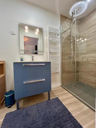 une salle de bain avec une douche, un lavabo et un miroir dans l'établissement Studio centre-ville entièrement rénové, à Mortagne-au-Perche