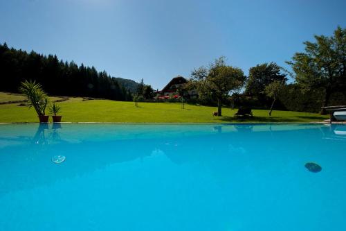 a large pool of blue water with a house in the background at Landhotel Hochlackenhof in Fuschl am See