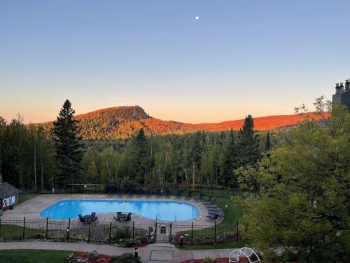 an overhead view of a pool in a yard with trees and mountains at Moose Mtn Retreat Ski in out Condo Pool Hot Tub Fire Pits in Lutsen