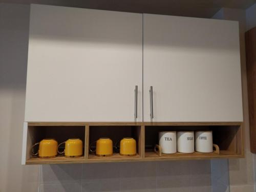 Kuchyň nebo kuchyňský kout v ubytování Apartman centar- Montana