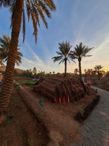 a boat laying on the ground next to palm trees at Riad IZRAREN in FIGUIG in Zenaga