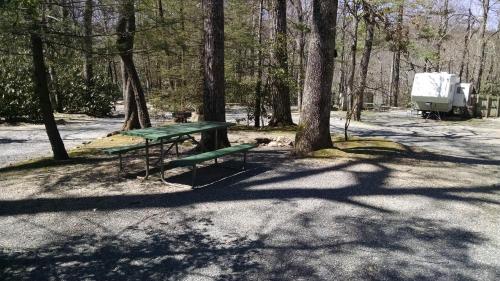 a green picnic table in the middle of a forest at Linville Falls Campground, RV Park, and Cabins in Linville Falls