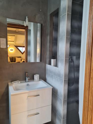 a bathroom with a sink and a mirror at Studio chez Eve et Momo in Ingwiller