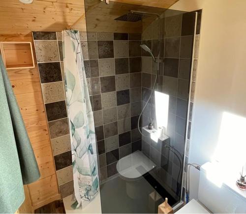 a bathroom with a shower with a toilet and a sink at Les Roulottes des Bois d'Ormes in Bessey-en-Chaume