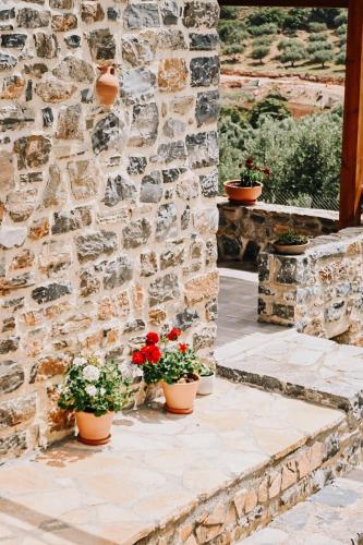 Κήπος έξω από το Zefki Stone Villa