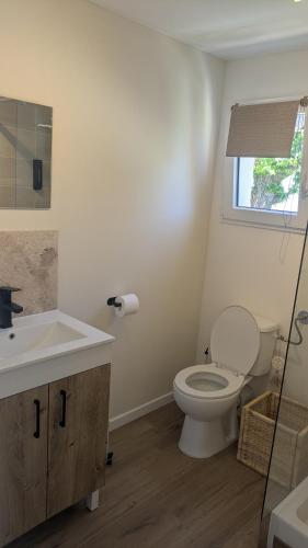 a bathroom with a toilet and a sink and a window at U Pagliaghju in Rutali