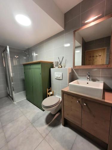 une salle de bain avec toilettes, lavabo et miroir dans l'établissement Chalet Les Perrieres - Appartement douillet dans petite résidence au calme. MAE-1211, aux Gets