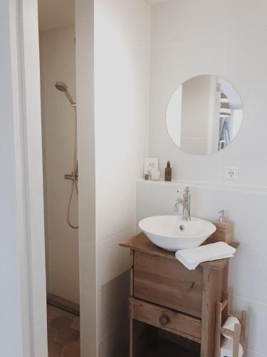 a bathroom with a sink and a mirror at Unique Tiny House close to Ams Airport with Hottub in Rijsenhout