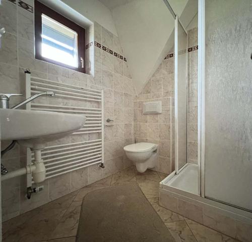 a bathroom with a sink and a toilet and a shower at U Javoru in Albrechtice v Jizerských horách