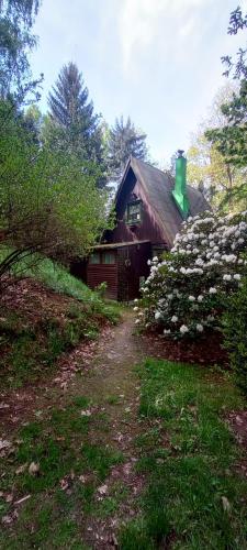 a house with a path in front of it at Chata Eva in Chrastava