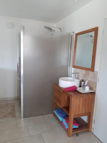 La salle de bains est pourvue d'un lavabo et d'un miroir sur une table. dans l'établissement studio and large, beautiful pool, à Saint-Ambroix