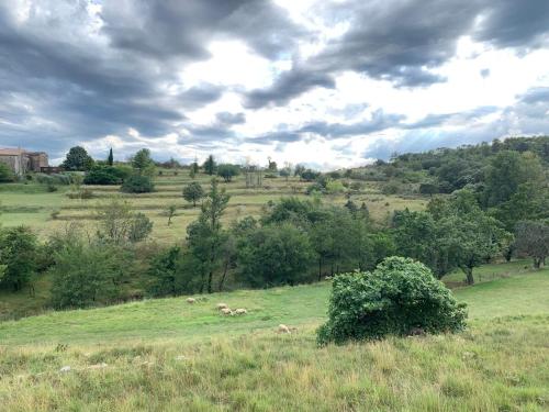 een veld met wat dieren die in het gras liggen bij studio and large, beautiful pool in Saint-Ambroix