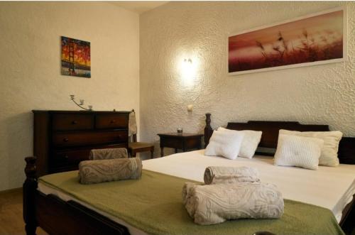 RomaOlyaHouse photo 2
