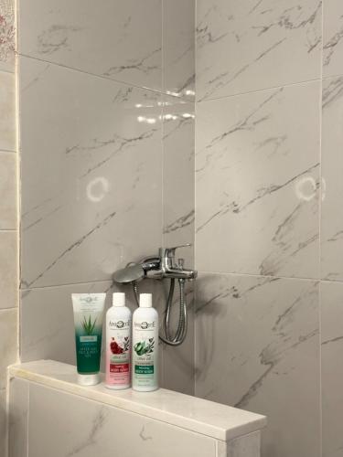 a bathroom with two bottles of soap and a shower at Vistas Venecianas Corfu in Corfu