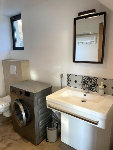 une salle de bain avec une machine à laver et un lavabo dans l'établissement Villa stipa, à Malaucène