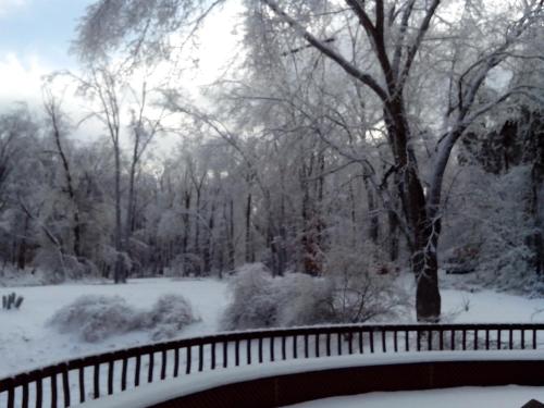 a bridge in a park covered in snow at HOUSE OF THE FUTURE MANSION MASTER BEDROOM, In W LANSING in Lansing