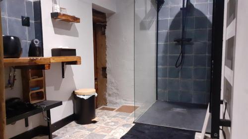 Un baño con ducha con puerta de cristal. en Gîte de Brocéliande Sauna & Spa, en Saint-Malon-sur-Mel
