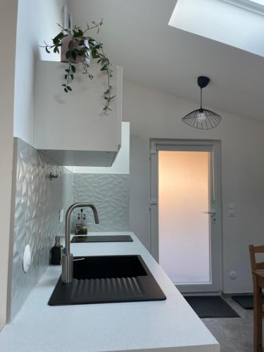 une cuisine avec un évier et un plan de travail dans l'établissement Zenith spacious studio in a central and quiet area near Basel, à Saint-Louis