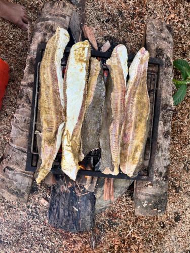 Gallery image of Renacer in Termales - agua caliente - nuqui