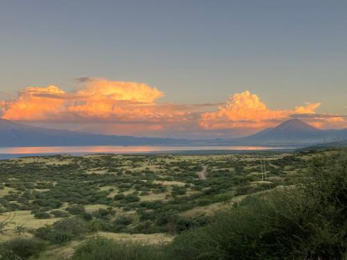 a view of a field with a mountain in the background at Keremasi Camp Lake Natron in Mtowabaga