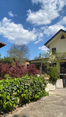 a house with a bunch of bushes in front of it at GuesthouseAntonia in Avellino