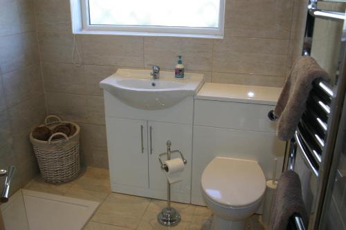 a bathroom with a sink and a toilet at Swn y Mor (Sound of the Sea) in Prestatyn
