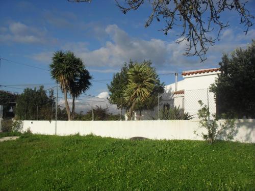 a white fence with palm trees in front of a house at Monte dos Sabores in Lagos