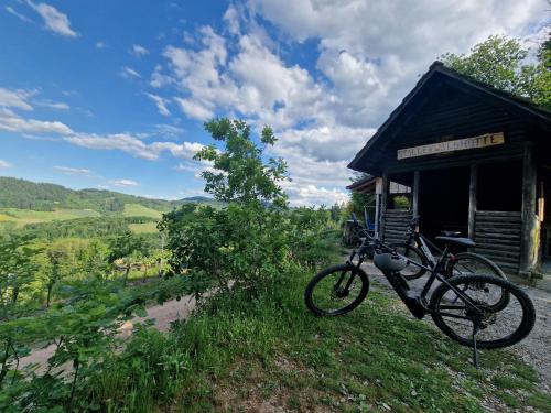 Příroda nedaleko apartmánu
