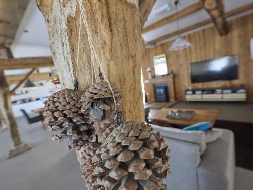 a pile of pine cones on a wall in a living room at Bouwhoeve in Elsendorp