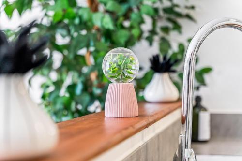 バーミンガムにあるLotus Haus - Wellington Homes - with off road Parkingの植物が置かれたカウンターの上のガラス玉
