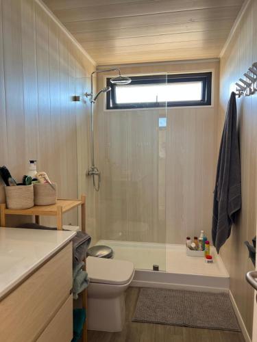 a bathroom with a shower and a toilet and a sink at Paraiso junto al mar in Coquimbo