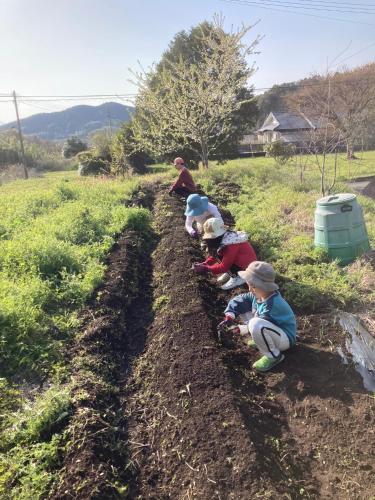 a group of children are lined up in a field at 竜野園藝 in Kamimashiki