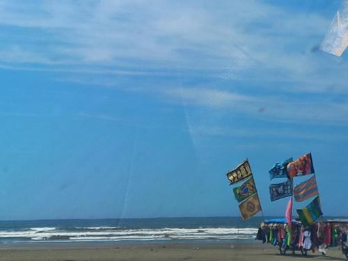 a group of people flying kites on the beach at Sobreposta beira praia Lulumar in Itanhaém