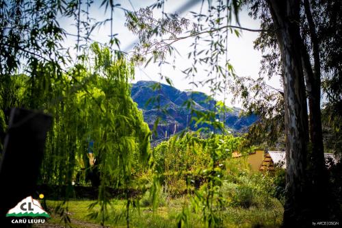 a view of a mountain from a field with trees at Carü Leufu in Valle Grande