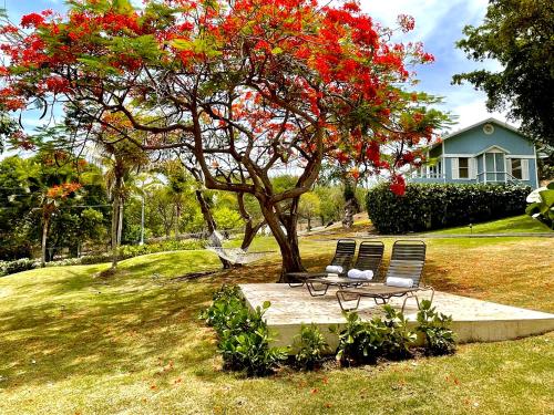 Jardín al aire libre en Club Seabourne Hotel
