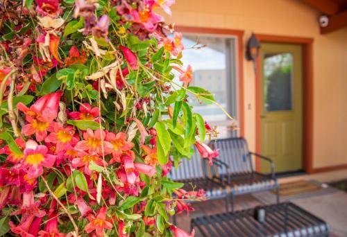 a bunch of flowers on the side of a house at Newly Remodeled Family Friendly Home in Page