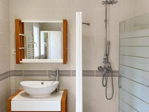 une salle de bain avec un lavabo et une douche avec un miroir dans l'établissement Charmant gîte à Chailles près de Blois avec jardin et WIFI - FR-1-491-468, à Chailles