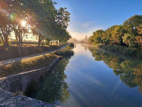 a view of a river with the sun reflecting on it at Le nid du canal in Pezens