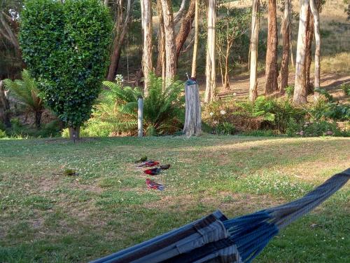 Taman di luar Battery Creek Farm
