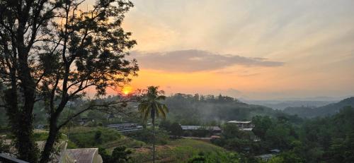 a sunset over a valley with a tree at The Ridge House in Kandy