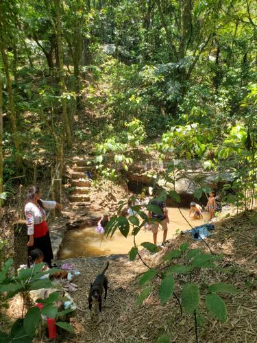 a group of people playing in a stream with a dog at Campamento equipado de bosque in Cuetzalán del Progreso