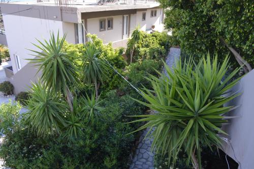 a garden with palm trees and plants next to a building at Horizon Studios - Apartments in Rodakino