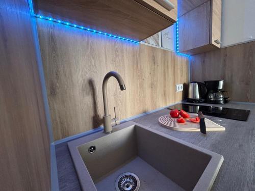 a kitchen with a sink and a plate of vegetables at Bohemian Chic Sage Dreams - Munich Central Station in Munich