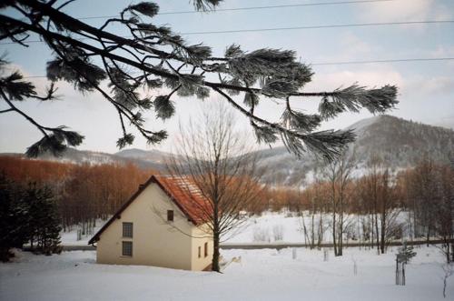 a small house in a snow covered field with a mountain at Holiday Home Čančarević in Ravna Gora